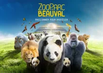 🦁 Séjour à Beauval : jusqu’à -25% sur les nuits d’hôtel !