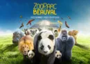 🦁 Séjour à Beauval : jusqu’à -25% sur les nuits d’hôtel !